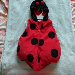 Ladybug Costume